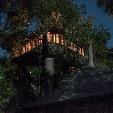 Вилла Margaritis'S Treehouse Парамонас Экстерьер фото