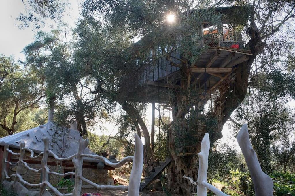 Вилла Margaritis'S Treehouse Парамонас Экстерьер фото