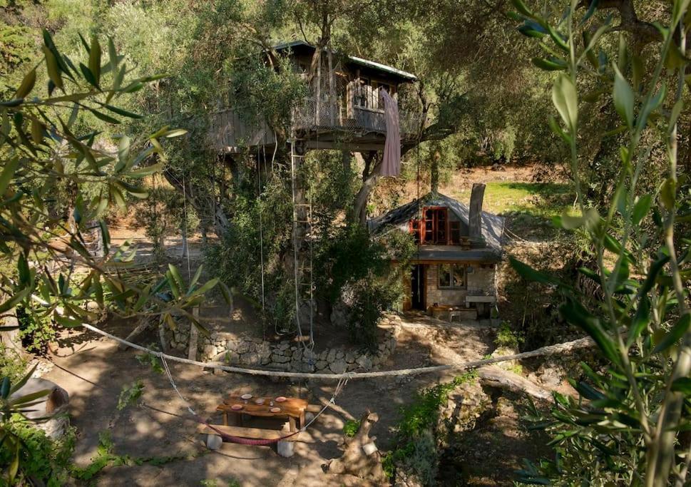 Вилла Margaritis'S Treehouse Парамонас Экстерьер фото